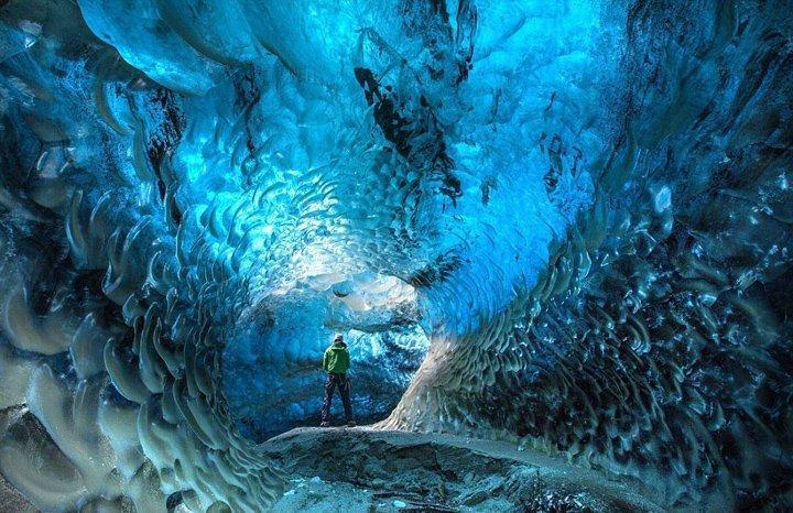 了解泰国野葛根怎么喝法?,畅享知识星球的精彩内容